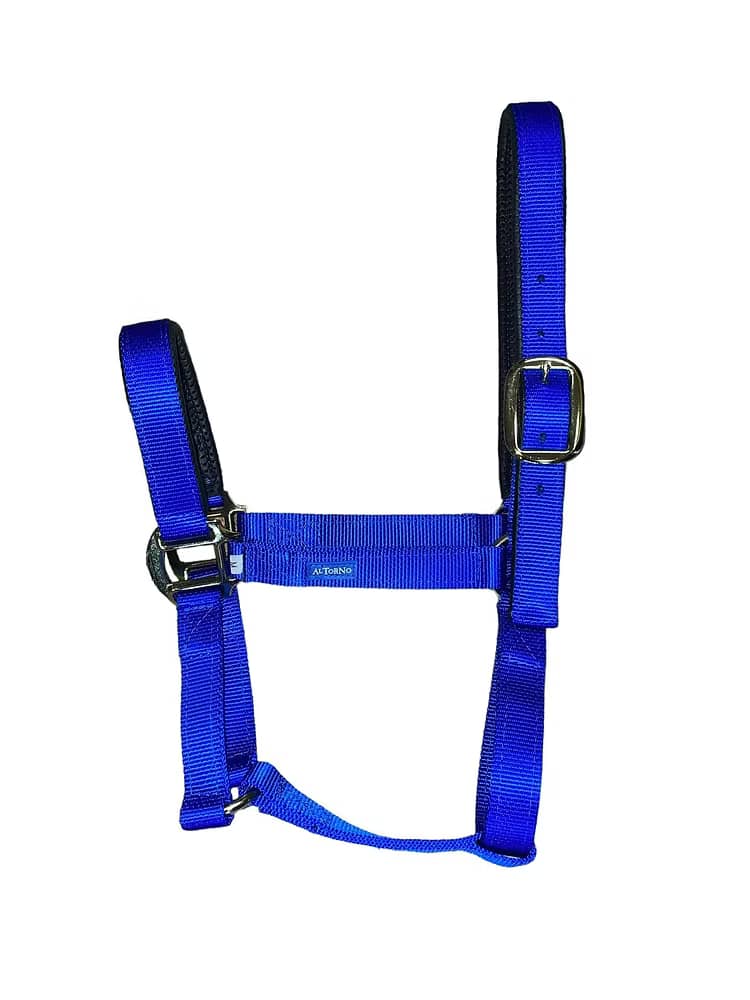 Jaquimón Reata para Potros de 6 a 15 Meses