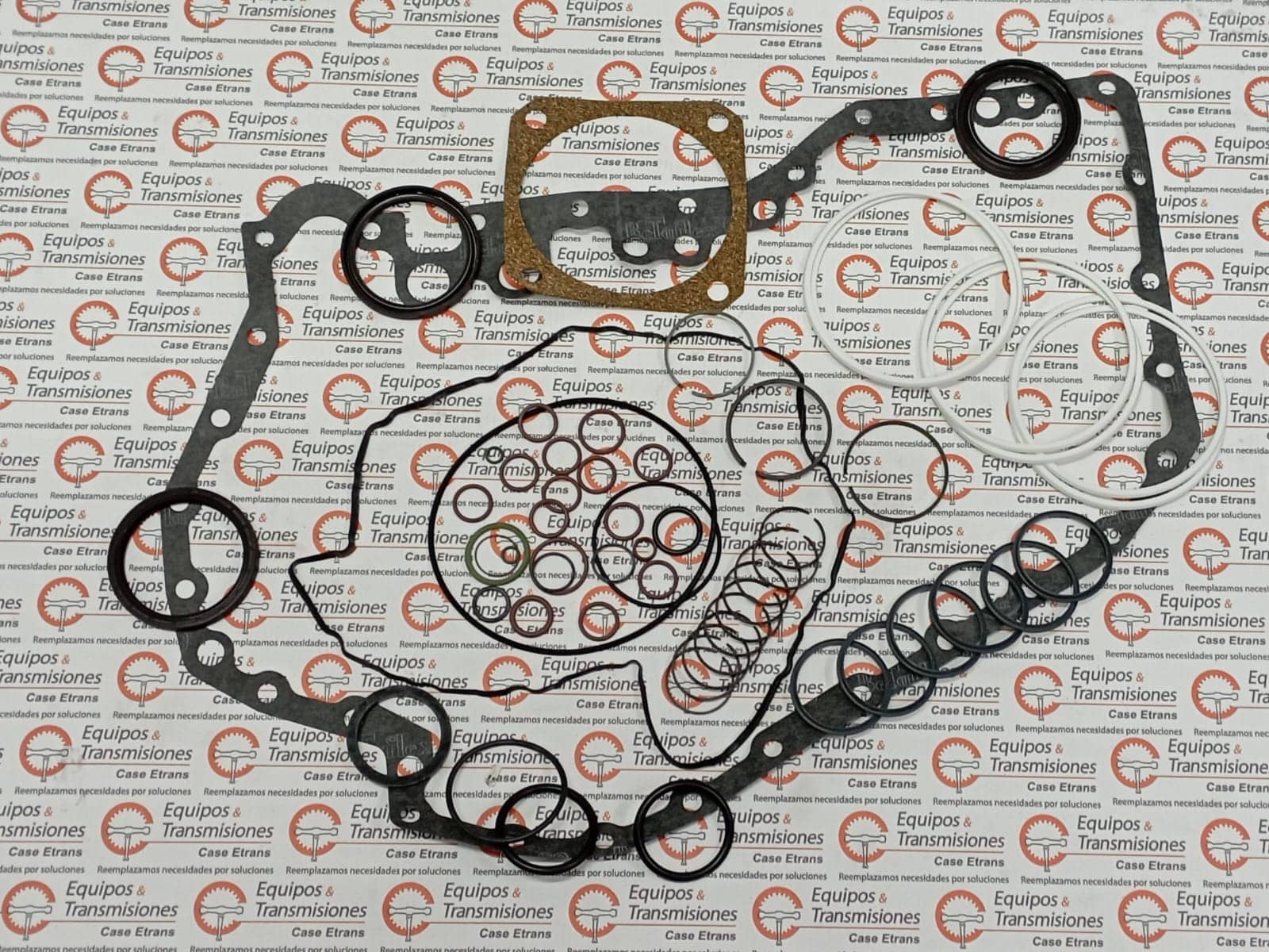 Empaquetadura servo - 8100034