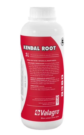 Bioestimulante KENDAL ROOT X 1 Lt