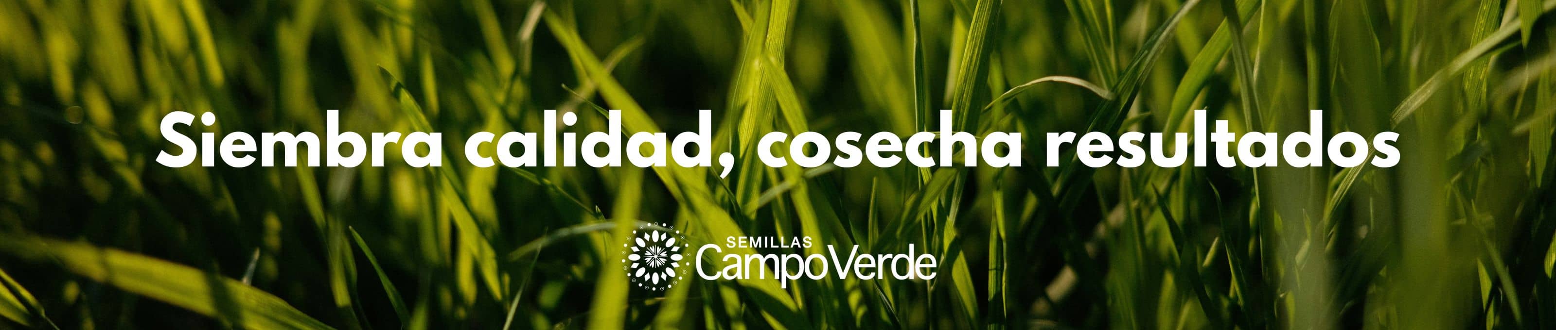 Semillas Campo Verde