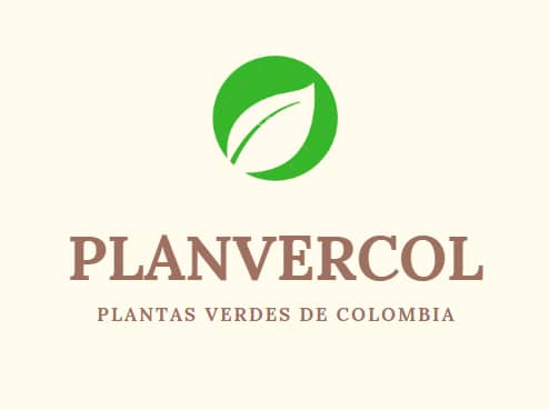 Plantas Verdes Cuartas Restrepo