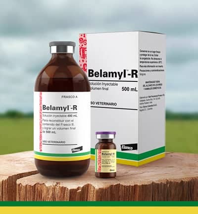 Vitamínico Belamyl-R x 100 Ml - Elanco