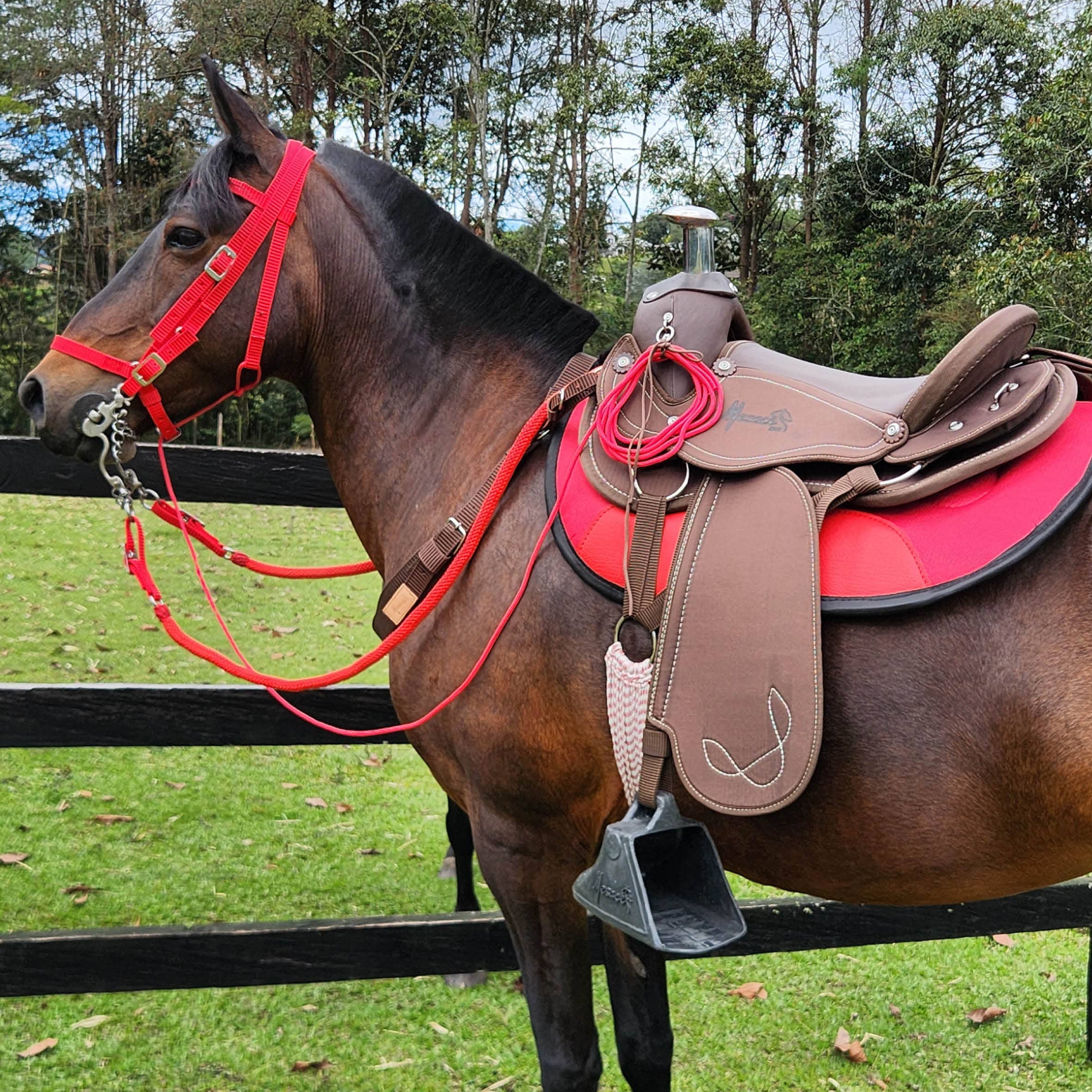 Silla Sabanera De Vaquería MESACÉ - Negra