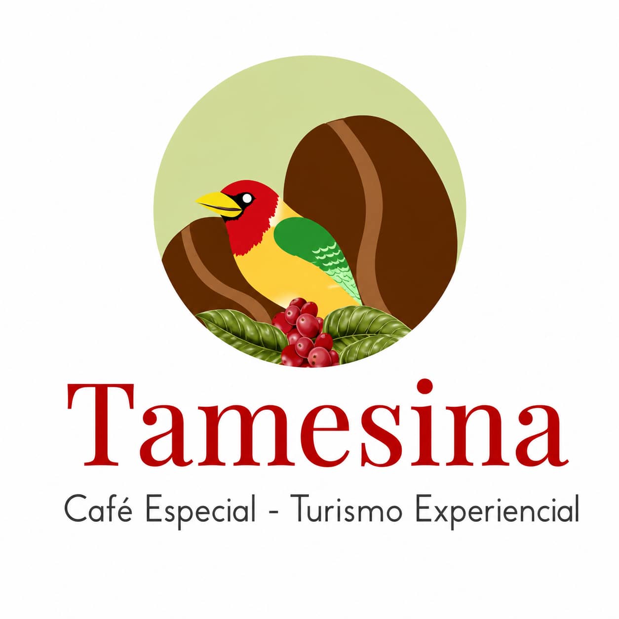 TAMESINA