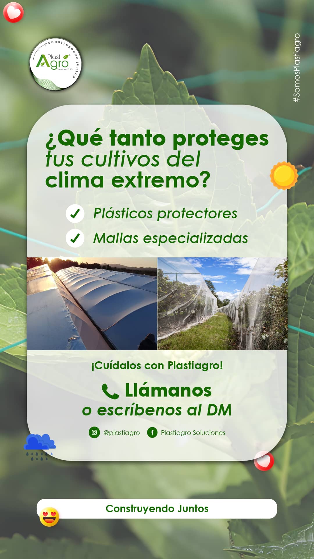 Mesa de trabajo 1-100.jpg