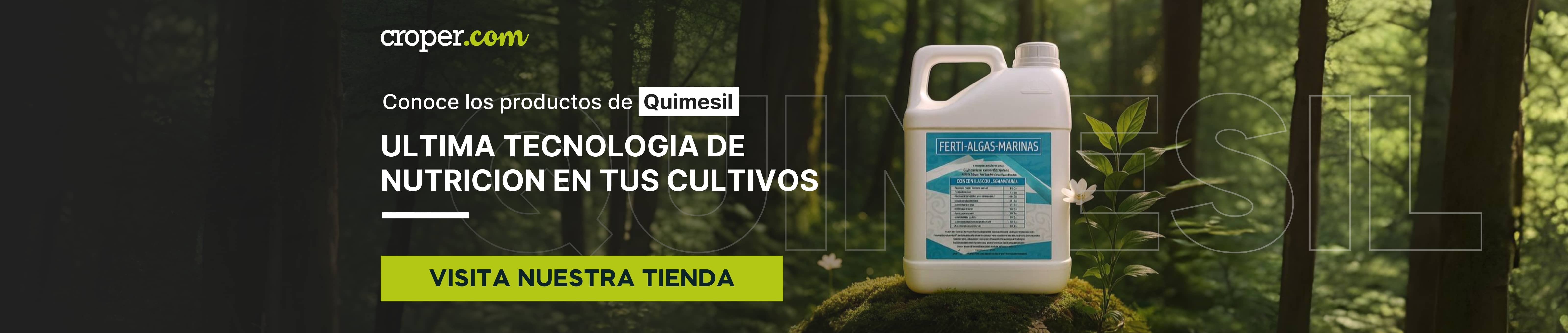 QUIMESIL ALGAS MARINAS