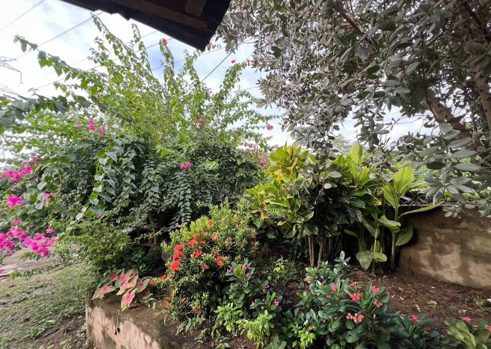 Captura de pantalla 2024-12-20 095403.png