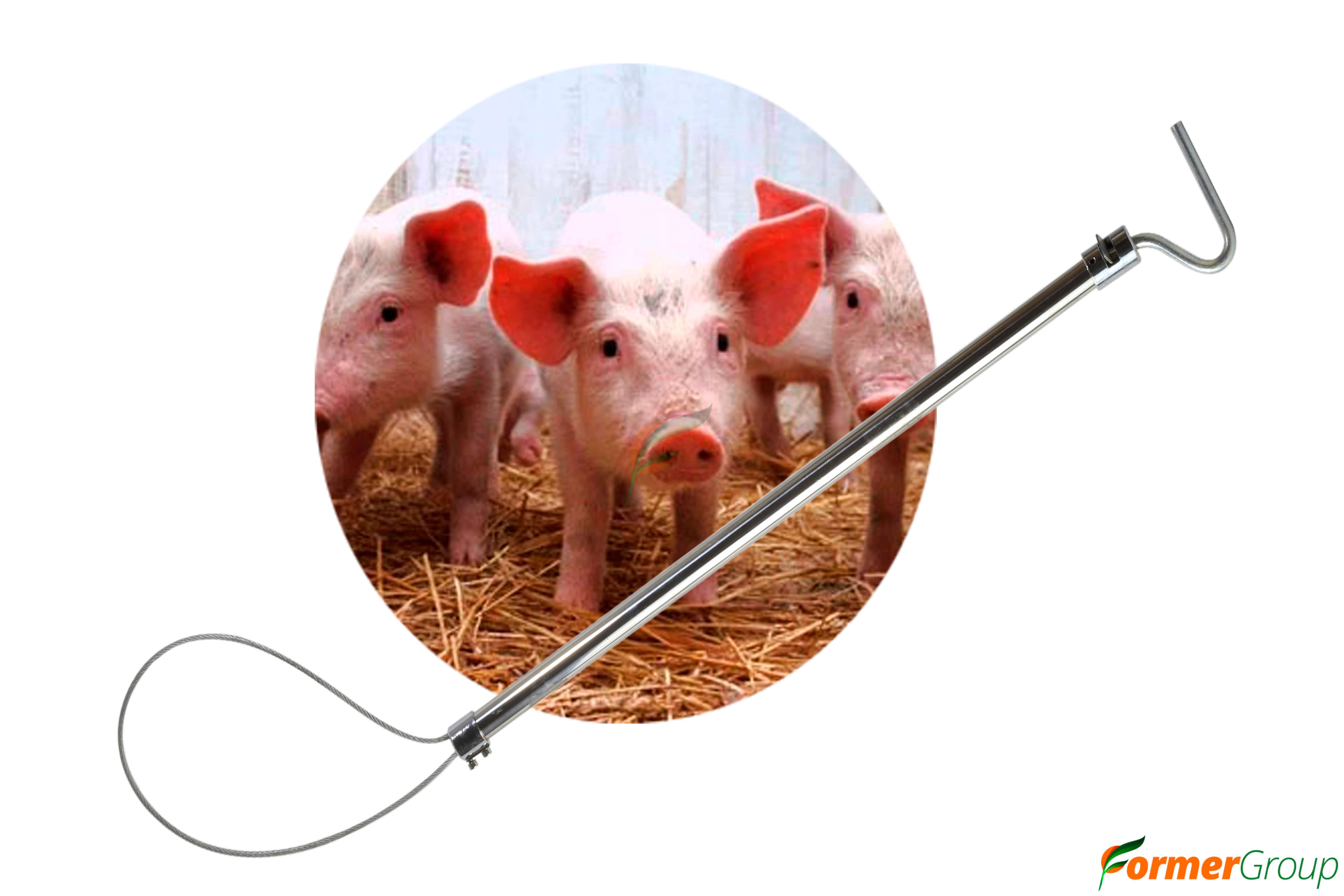 Sujetador para Cerdos y Ovinos 120cm Acero