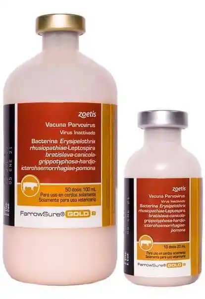 Vacuna Farrowsure Gold b® x 50 dosis - Zoetis