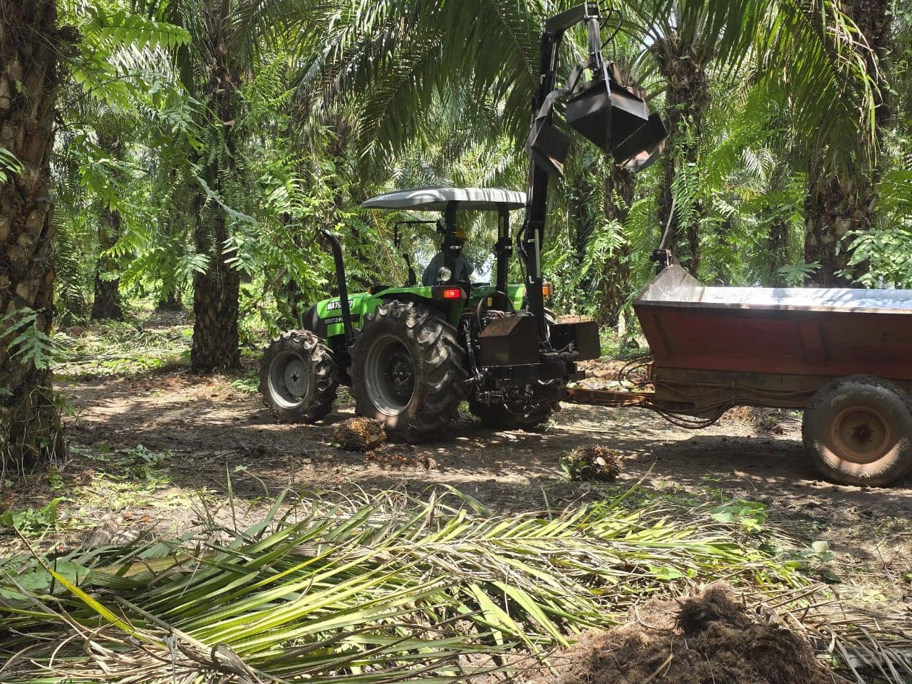 Grúa Grabber AC-80 para recolección de fruto de palma