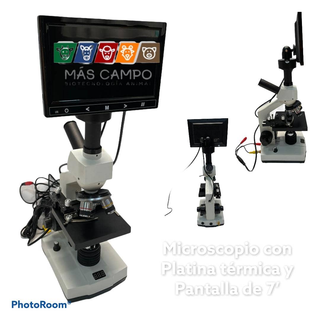 Microscopio con pantalla de 7 pulgadas - platina térmica