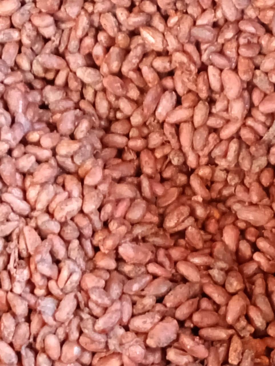 WhatsApp Image 2026-03-06 at 5.56.11 PM (1).jpeg