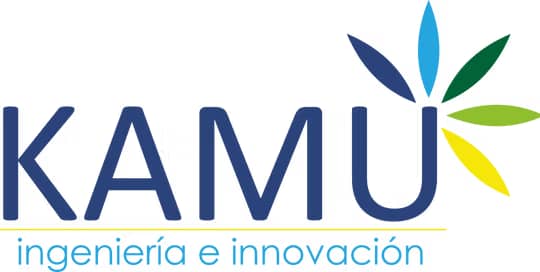 Kamu