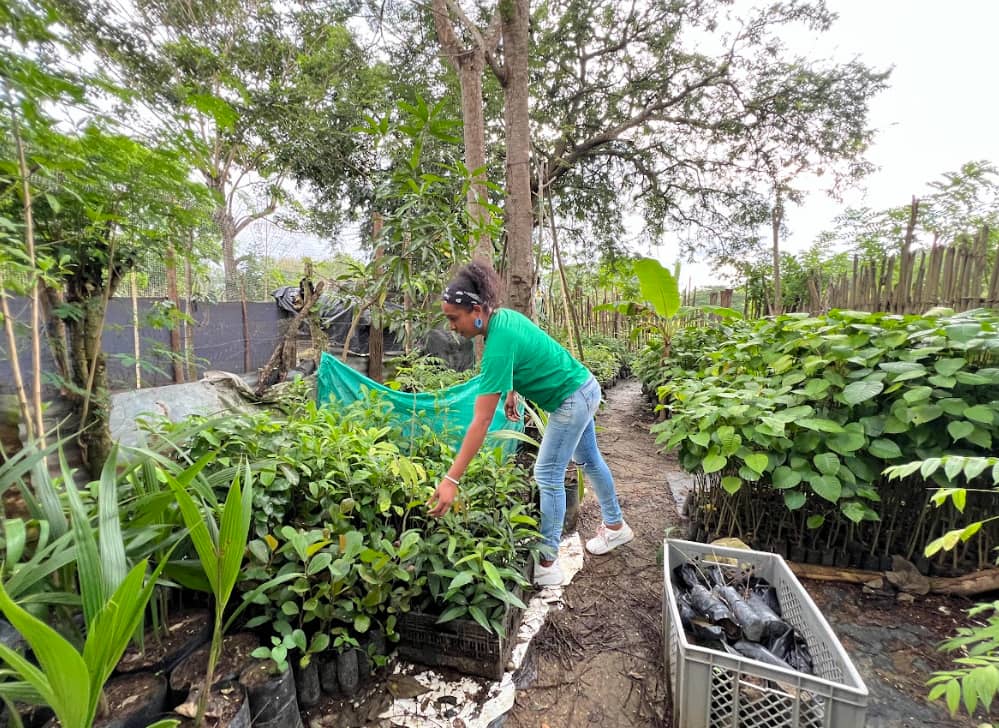 Captura de pantalla 2024-12-20 095517.png