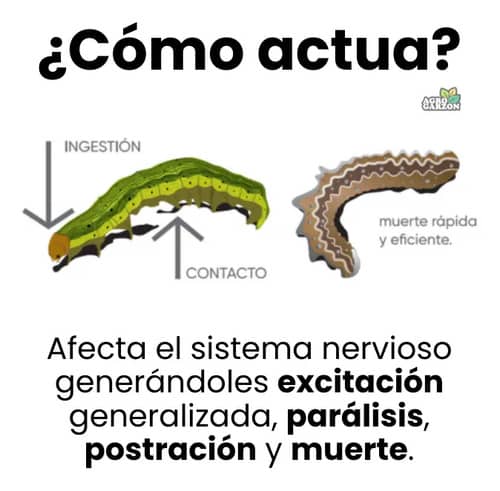 Exalt® 60 SC Insecticida 500cc | Control Eficaz | Croper