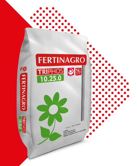 Fertilizante Triphos 10-25 x 25 kg