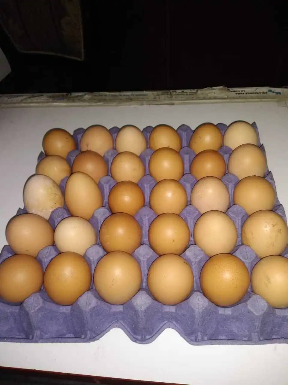 Huevos de Gallina Canasta X 30 Unidades