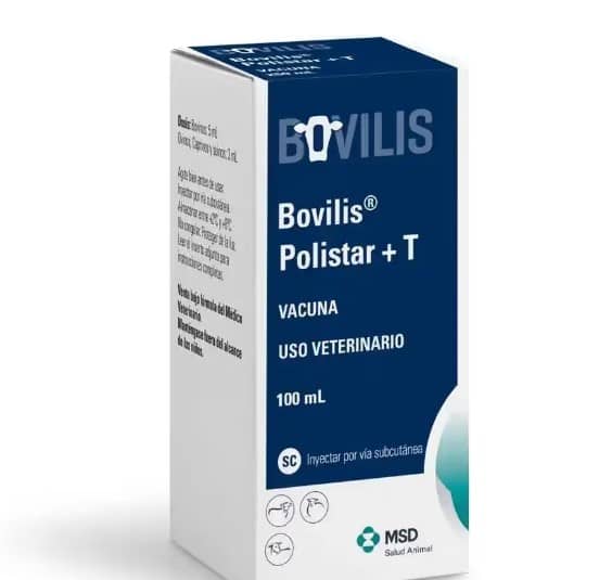 Vacuna Bovilis Polistar + T x 100 ml - MSD