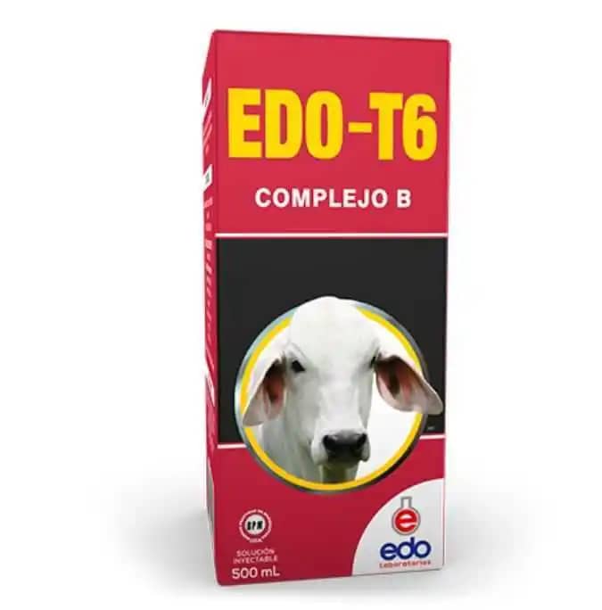 Edo T6