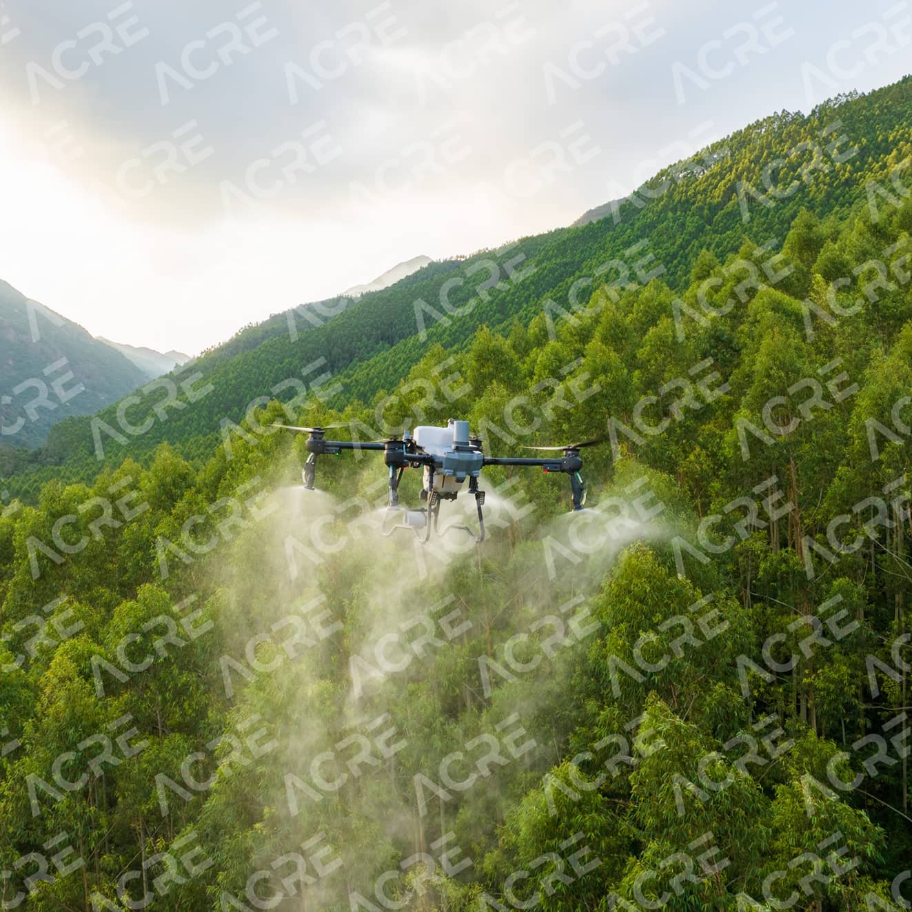 Dron Agrícola DJI AGRAS T25P | Fumigación y Esparcido Preciso