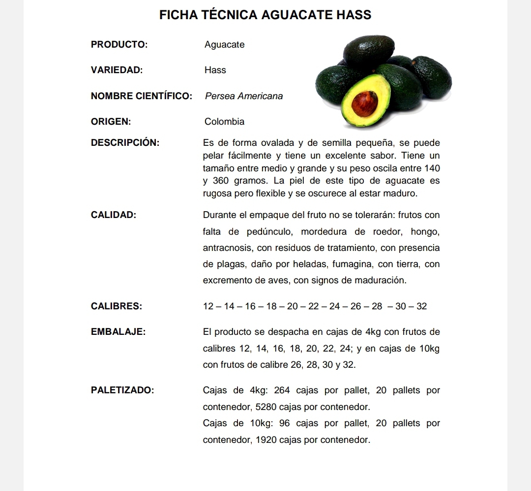 Aguacate hass