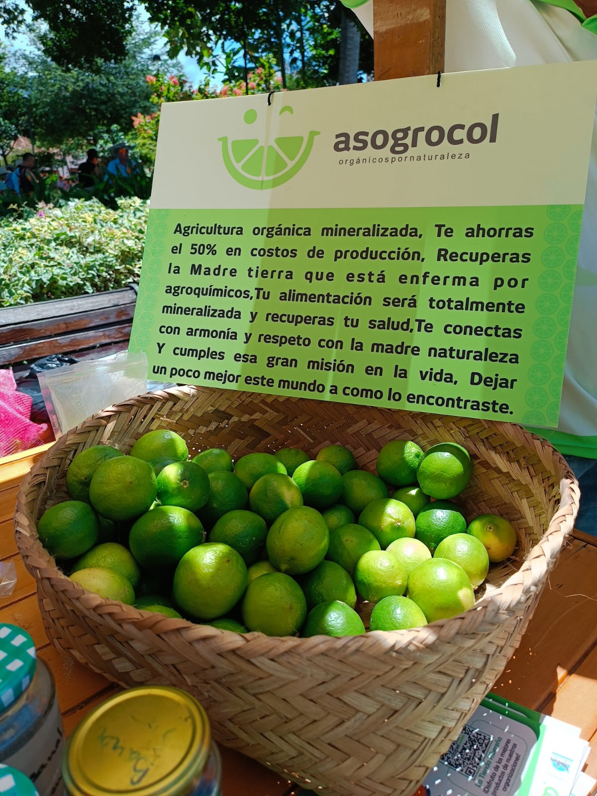 Produccion Limon Asogrocol.png