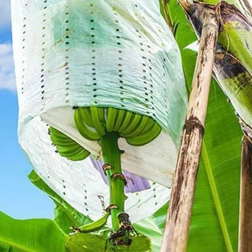 Bolsa Racimos Banano 50und Protector UV Insecticida