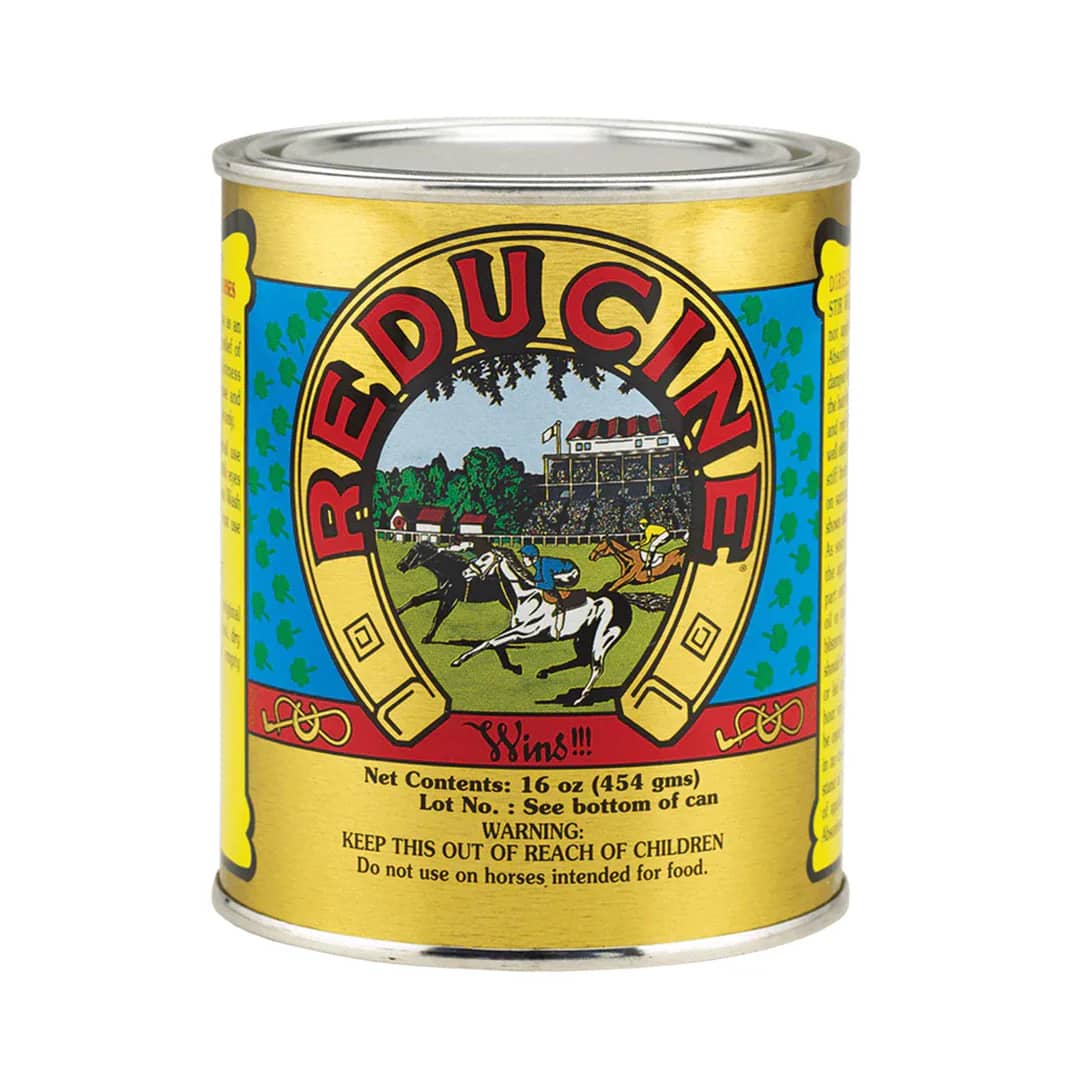 REDUCINE – Pomada antiinflamatoria para caballos