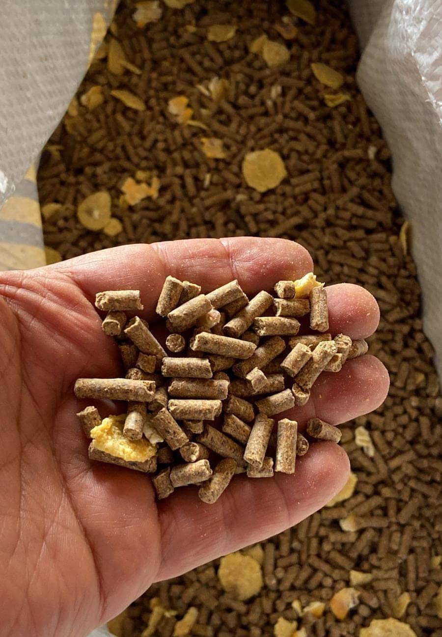 EQUIPRIME ADULTOS - NUTRIPRIME