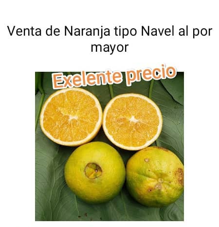 Naranja Navel Agroecológica