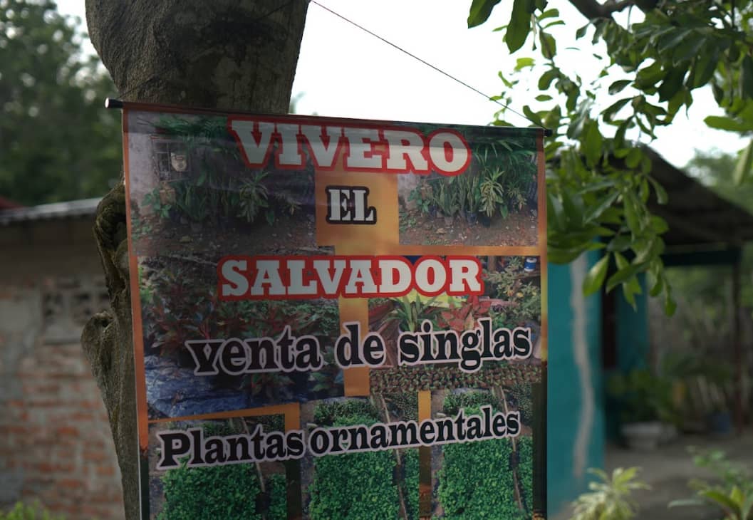 Captura de pantalla 2024-12-20 095704.png