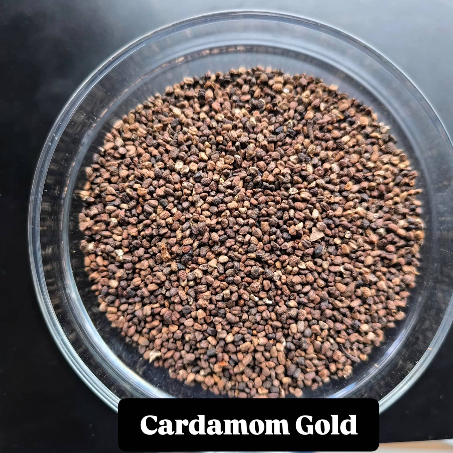 Cardamomo