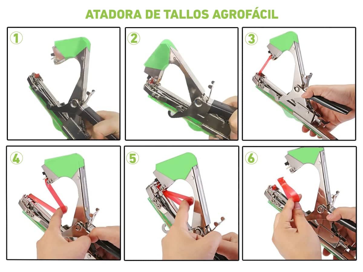 Atadora de Tallos -  Fijación de Plantas en Cultivos y Jardinería