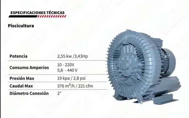 Soplador Blower 3HP Trifásico | 376 m³/h y 2.8 PSI