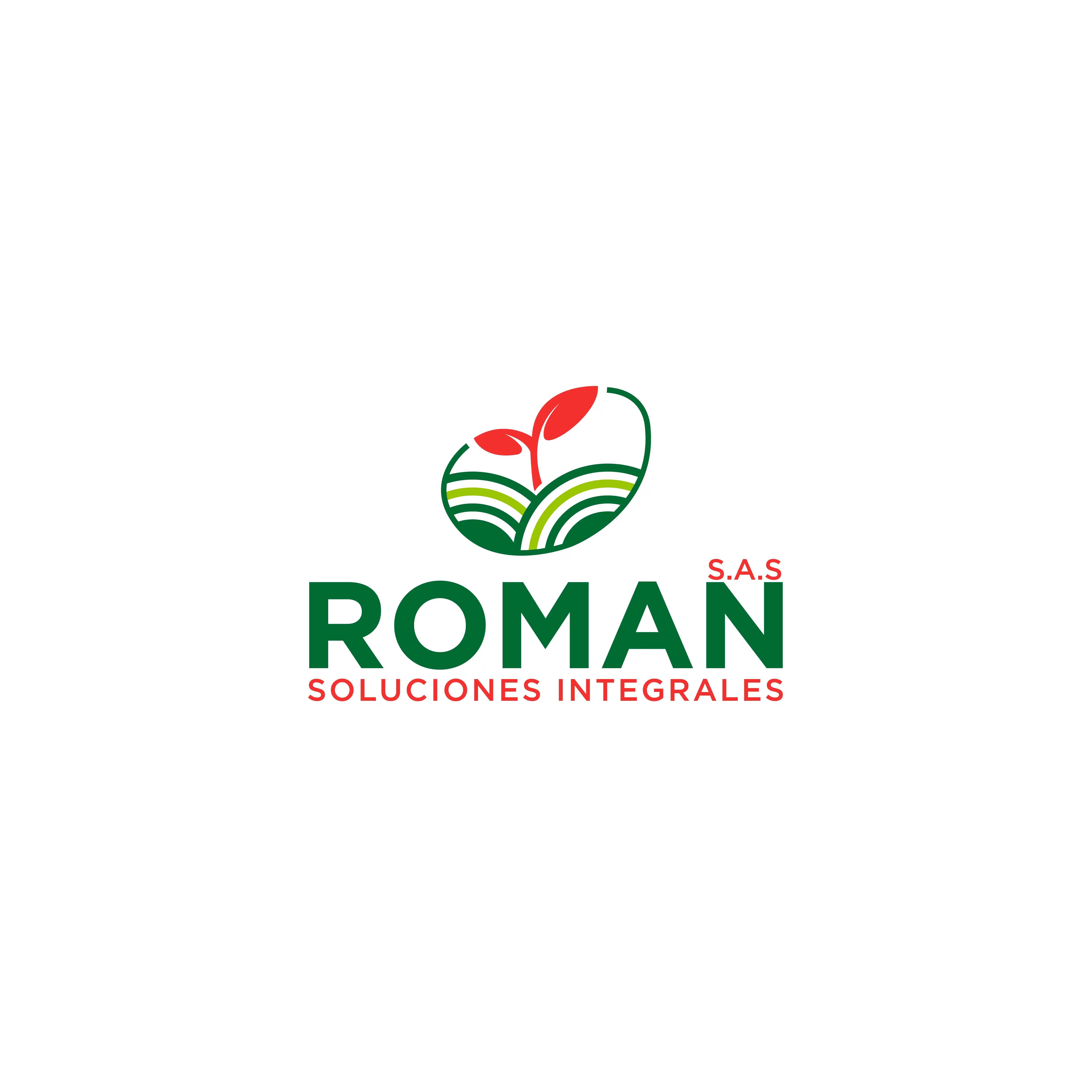 ROMAN SAS ROMAN VERA