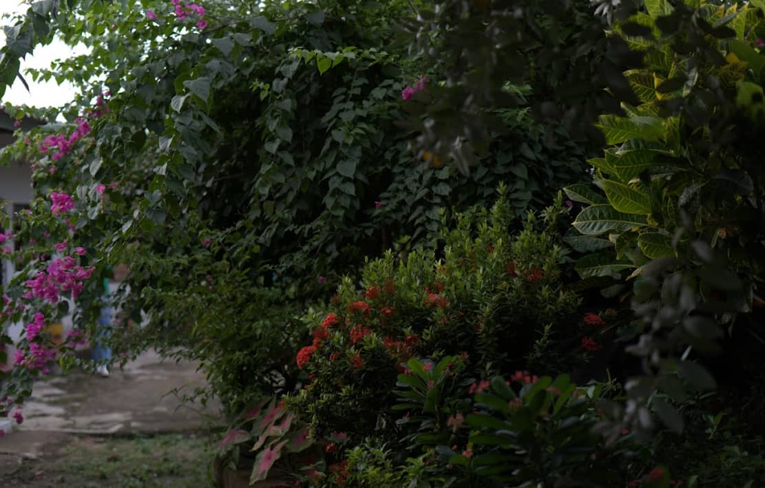 Captura de pantalla 2024-12-20 095558.png