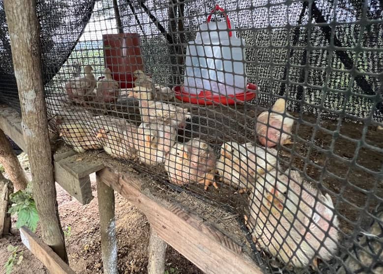 Captura de pantalla 2025-02-19 142014.png