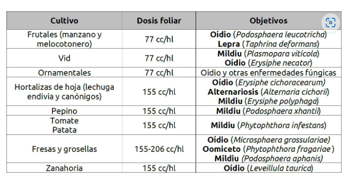 Fungicida Maxitina® x 20lt