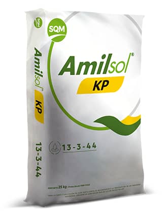 Fertilizante soluble - Amilsol KP x 25 Kg