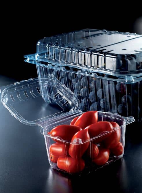 Bandejas y Clamshells en rPET para frutas frescas y alimentos