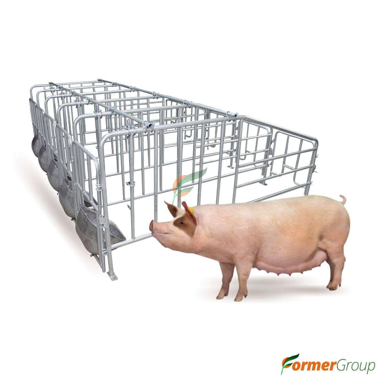 Jaula de Gestación 5 Módulos para Cerdas