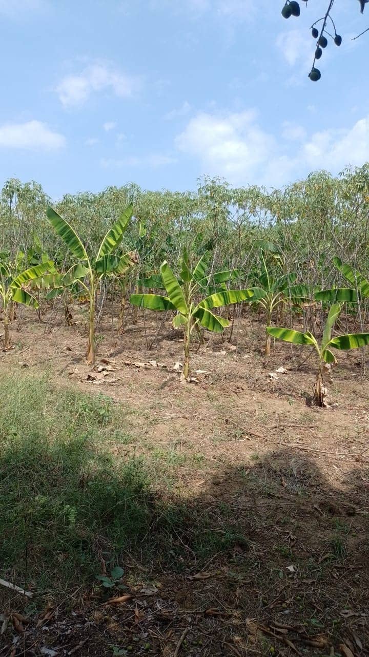 Imagen de WhatsApp 2025-02-21 a las 11.22.18_040307cc.jpg