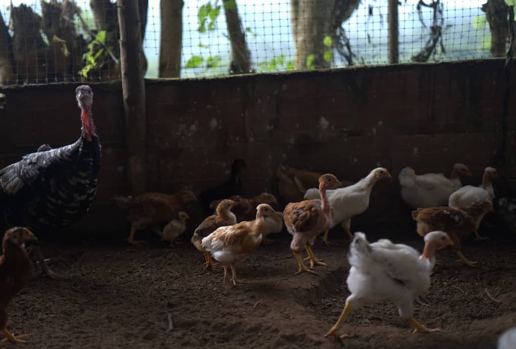 Captura de pantalla 2025-02-19 142054.png