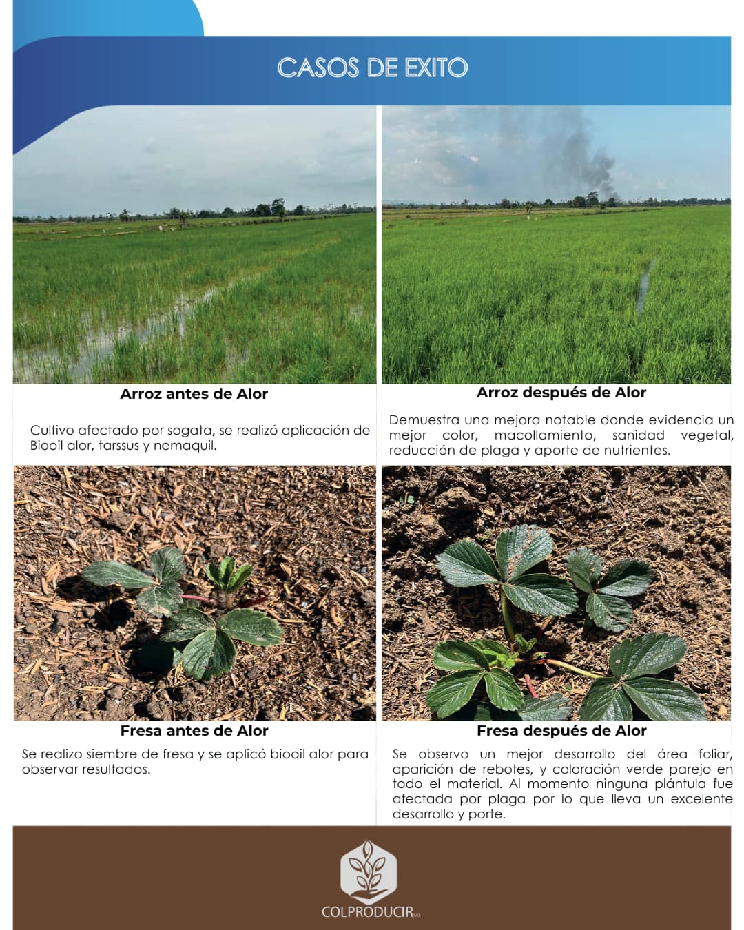 Bioestimulante Bioil Alor x 1kg