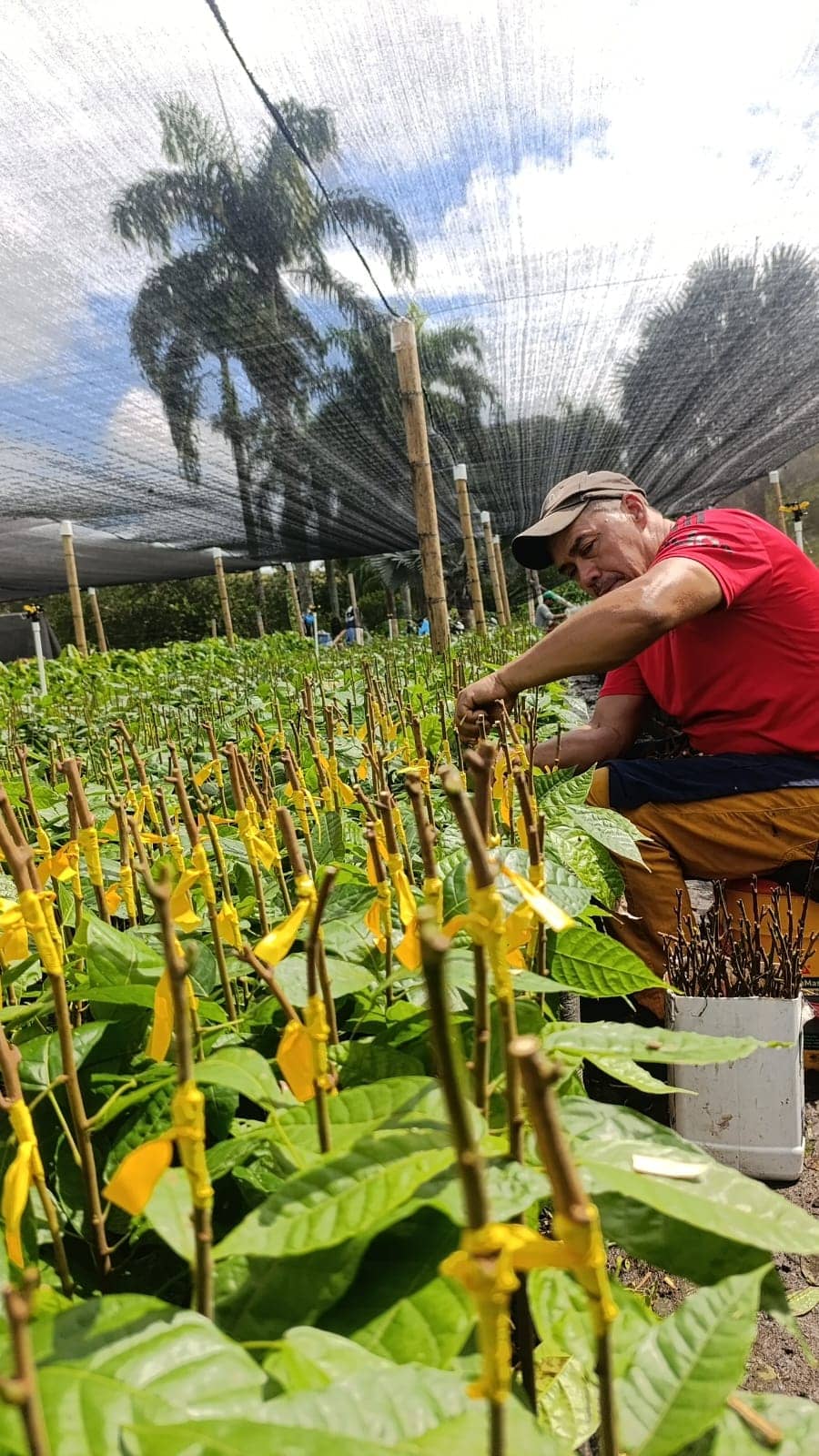 WhatsApp Image 2026-03-05 at 12.20.39 (1).jpeg