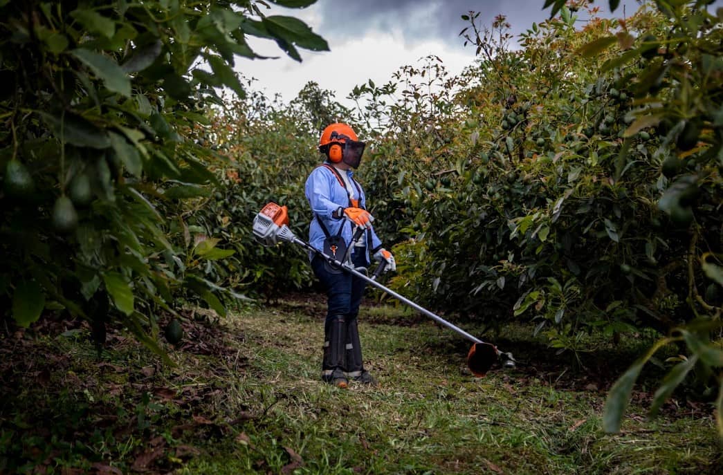 Guadaña STIHL FS 235: Potencia y Versatilidad