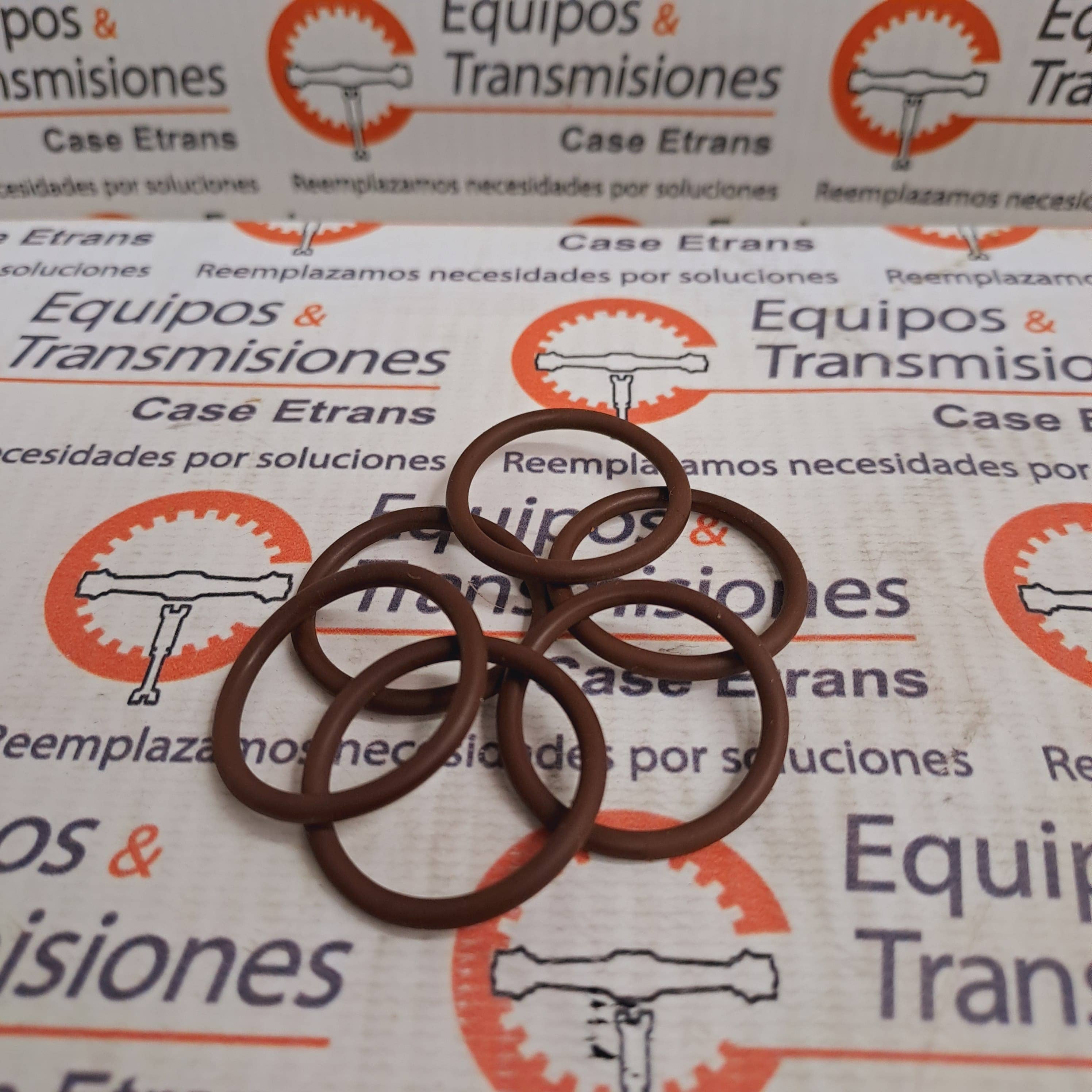 O-ring CNH