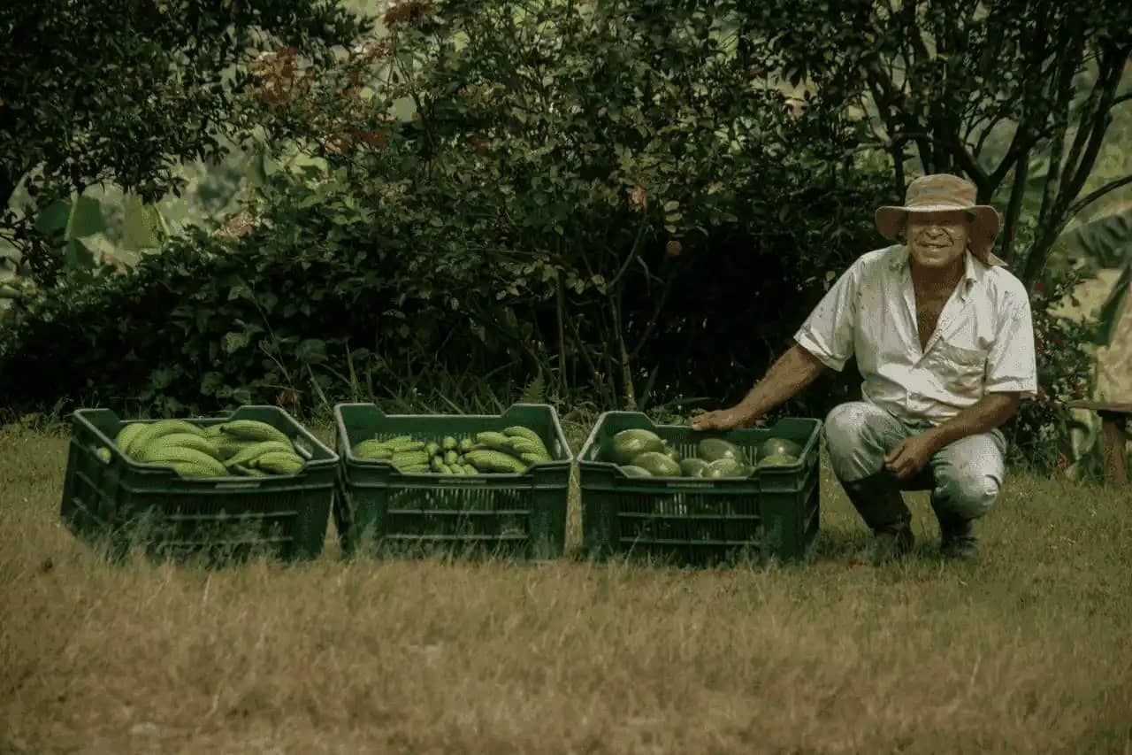 Nuestros productos Comsab.png