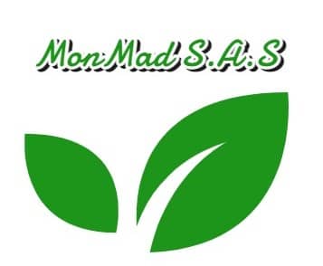 Kelly  Monsalve Madrid