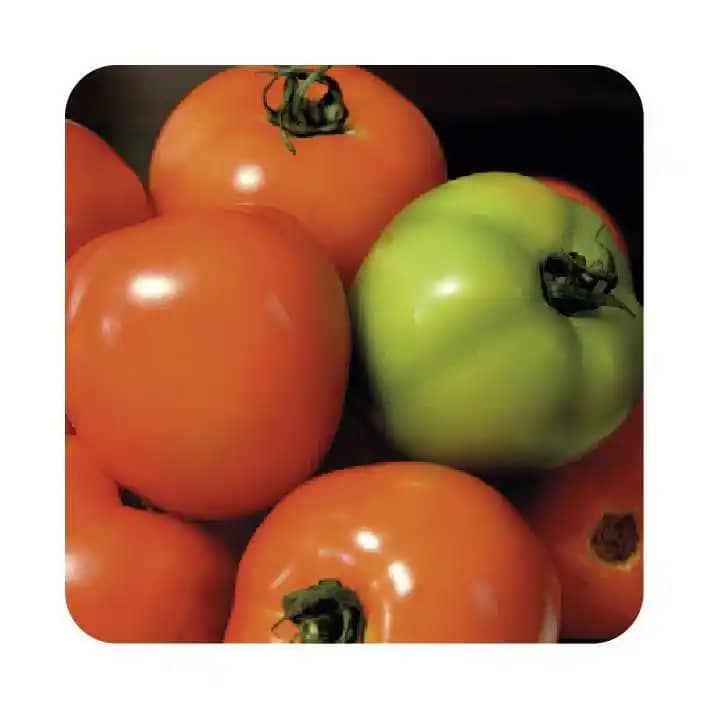 Semilla de tomate hibrido calima Santa Clara por 1.000 uni - Impulsemillas